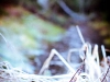20101022_MHP7779