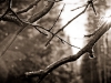 20101022_MHP7788