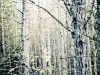 20101022_MHP7794