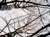 20101022_MHP7798