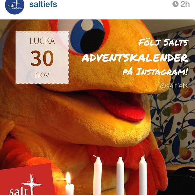 Reinsta. Följ @saltiefs adventskalender på instagram.